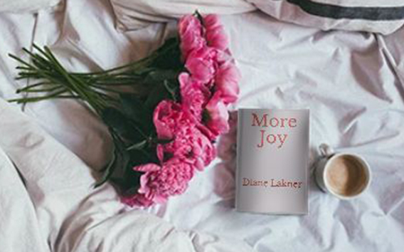 more-joy-by-diane-lakner